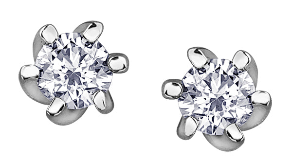 White Gold Diamond Stud Earrings