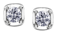 White Gold Diamond Stud Earrings